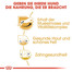 ROYAL CANIN Jack Russell Terrier Adult Hundefutter trocken 1,5 kg