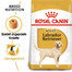 ROYAL CANIN Labrador Retriever adult 12 kg + 2 kg