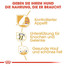 ROYAL CANIN Labrador Retriever Adult Sterilised Trockenfutter für kastrierte Hunde 3 kg