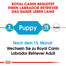 ROYAL CANIN Labrador retriever junior 12+2 kg gratis