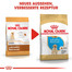 ROYAL CANIN Labrador retriever junior 12+2 kg gratis