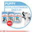 ROYAL CANIN MEDIUM Puppy Welpenfutter trocken für mittelgroße Hunde 10 kg