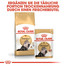 ROYAL CANIN Persian Adult Trockenfutter für Perser-Katzen 4 kg