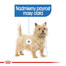 ROYAL CANIN LIGHT WEIGHT CARE Nassfutter für Hunde mit Neigung zu Übergewicht 85 g