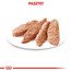 ROYAL CANIN LIGHT WEIGHT CARE Nassfutter für Hunde mit Neigung zu Übergewicht 85 g
