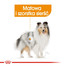 ROYAL CANIN COAT CARE Nassfutter für glänzendes Fell 85 g