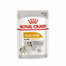 ROYAL CANIN COAT CARE Nassfutter für glänzendes Fell 85 g