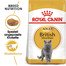 ROYAL CANIN British Shorthair Katzenfutter trocken für Britisch Kurzhaar 10 kg