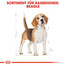 ROYAL CANIN Beagle Adult Hundefutter trocken 3 kg