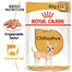 ROYAL CANIN Chihuahua Adult Hundefutter nass 85 g