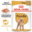 ROYAL CANIN Poodle Adult in Soße Hundefutter nass für Pudel 85 g