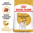 ROYAL CANIN Jack Russell Terrier Adult Hundefutter trocken 3 kg