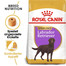 ROYAL CANIN Labrador Retriever Adult Sterilised Trockenfutter für kastrierte Hunde 3 kg