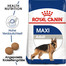ROYAL CANIN MAXI Adult Trockenfutter für große Hunde 4 kg