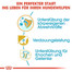 ROYAL CANIN German Shepherd Puppy Welpenfutter trocken für Deutsche Schäferhunde 12+2 kg Gratis!