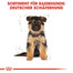 ROYAL CANIN German Shepherd Puppy Welpenfutter trocken für Deutsche Schäferhunde 12+2 kg Gratis!
