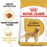ROYAL CANIN Golden Retriever Adult Hundefutter trocken 3 kg
