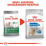 ROYAL CANIN LIGHT WEIGHT CARE MINI Trockenfutter für kleine Hunde mit Neigung zu Übergewicht 1 kg