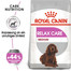 ROYAL CANIN RELAX CARE MEDIUM Trockenfutter für mittelgroße Hunde in unruhigem Umfeld 3 kg