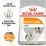ROYAL CANIN COAT CARE MINI Trockenfutter für kleine Hunde für glänzendes Fell 3 kg