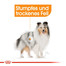 ROYAL CANIN COAT CARE MINI Trockenfutter für kleine Hunde für glänzendes Fell 3 kg