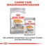 ROYAL CANIN COAT CARE MINI Trockenfutter für kleine Hunde für glänzendes Fell 3 kg