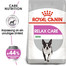ROYAL CANIN RELAX CARE MINI Trockenfutter für kleine Hunde in unruhigem Umfeld 1 kg