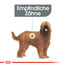 ROYAL CANIN DENTAL CARE MAXI Trockenfutter für große Hunde mit empfindlichen Zähnen 3 kg