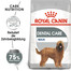 ROYAL CANIN DENTAL CARE MAXI Trockenfutter für große Hunde mit empfindlichen Zähnen 3 kg