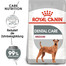 ROYAL CANIN DENTAL CARE MEDIUM Trockenfutter für mittelgroße Hunde mit empfindlichen Zähnen 1 kg
