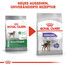 ROYAL CANIN STERILISED MINI Trockenfutter für kastrierte kleine Hunde 3 kg