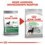 ROYAL CANIN DIGESTIVE CARE MINI Trockenfutter für kleine Hunde mit empfindlicher Verdauung 8 kg