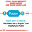 ROYAL CANIN Dachshund Puppy Welpenfutter trocken für Dackel 1,5 kg