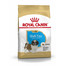 ROYAL CANIN Cavalier King Charles Puppy Welpenfutter trocken 1,5 kg