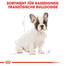 ROYAL CANIN French Bulldog Puppy Welpenfutter trocken für Französische Bulldoggen 1 kg