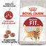 ROYAL CANIN FIT Trockenfutter für aktive Katzen 4 kg