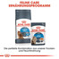 ROYAL CANIN Light Weight Care Trockenfutter für übergewichtige Katzen 10 kg