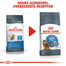 ROYAL CANIN Light Weight Care Trockenfutter für übergewichtige Katzen 10 kg