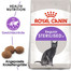 ROYAL CANIN STERILISED Trockenfutter für kastrierte Katzen 4 kg