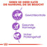 ROYAL CANIN Sterilised 37 10 kg + 2 kg Gratis