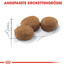 ROYAL CANIN Sterilised 37 10 kg + 2 kg Gratis