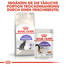 ROYAL CANIN Sterilised 37 10 kg + 2 kg Gratis