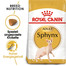 ROYAL CANIN Sphynx Adult Katzenfutter trocken 10 kg