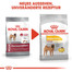 ROYAL CANIN MEDIUM Dermacomfort Trockenfutter für mittelgroße Hunde mit empfindlicher Haut 10 kg