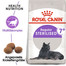 ROYAL CANIN STERILISED 7+ Trockenfutter für ältere kastrierte Katzen 10 kg