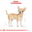 ROYAL CANIN Chihuahua Adult Hundefutter trocken 3 kg