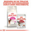 ROYAL CANIN AROMA EXIGENT Trockenfutter für wählerische Katzen 4 kg