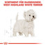 ROYAL CANIN West Highland White Terrier Adult Hundefutter trocken 3 kg