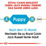 ROYAL CANIN Jack Russell Terrier Puppy Welpenfutter trocken 500 g