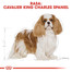 ROYAL CANIN Cavalier King Charles Adult Hundefutter trocken 7,5 kg